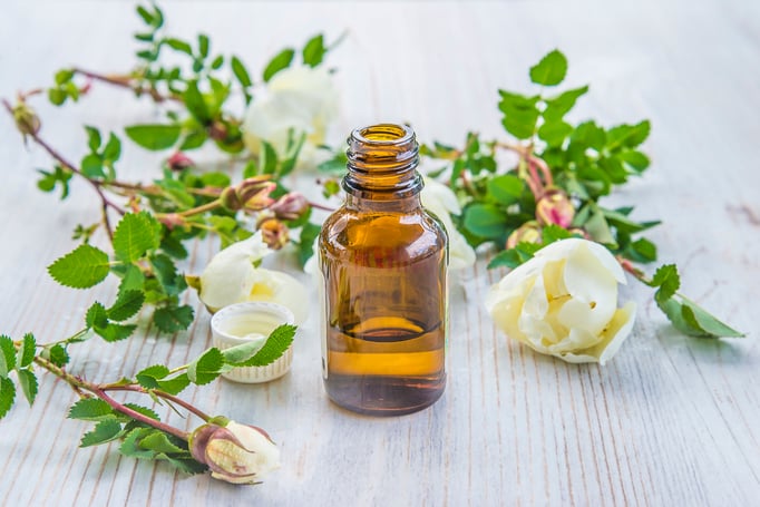 Canva - wild roses essential oil