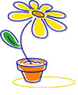 plant flower yellow